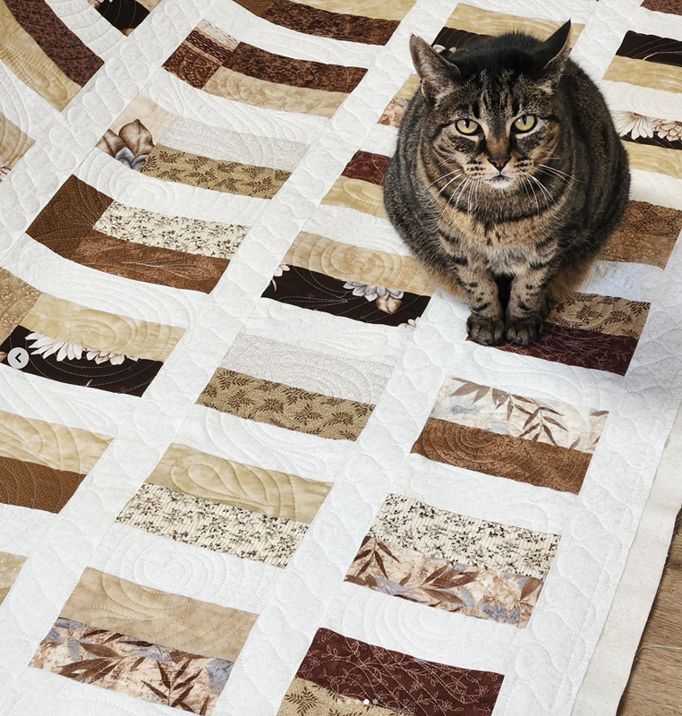 Saturday Sewing with Interesting Reads, Cats and a Hint of Patchwork ...